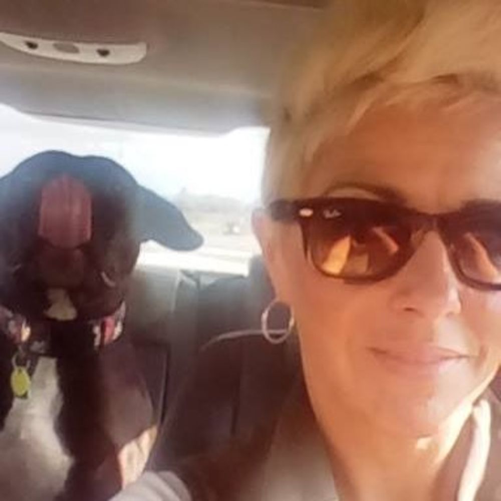 Meet your Posher, Nikki